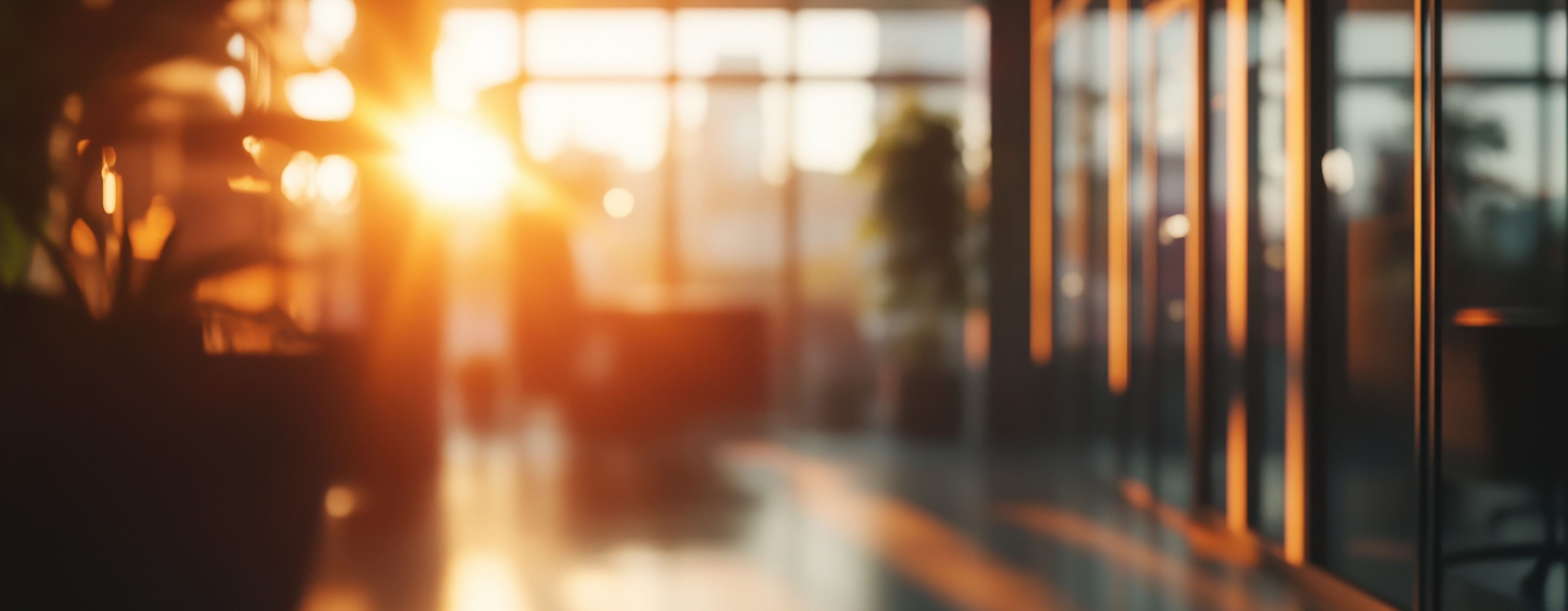 sunset peeking through office windows