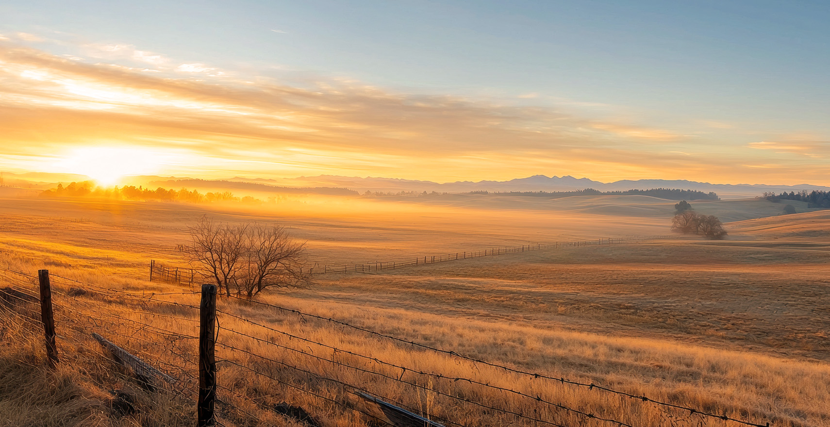 open rural field with yellow sunrise