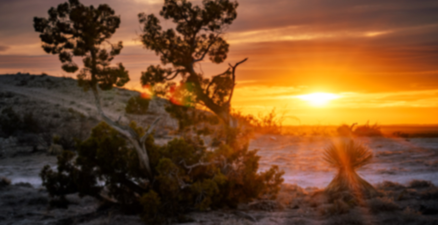 orange New Mexico sunset
